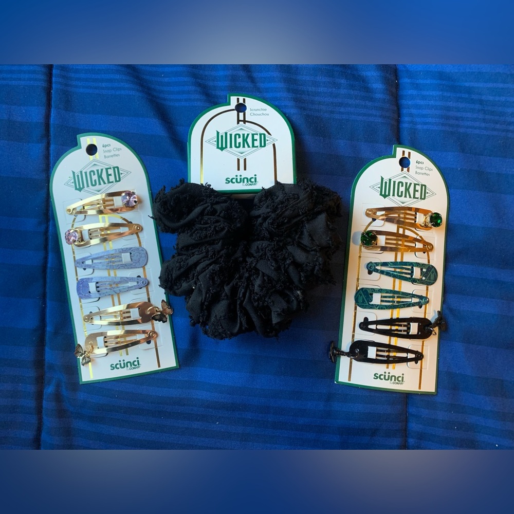 Brand new wicked hair clips & scrunchie